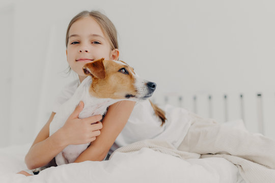 Little girl embraces small pedigree dog, stay in bed, plays with favourite pet before sleep, has appealing look, gazes camly into camera. Childhood and bed time concept. Kid hugs domestic animal