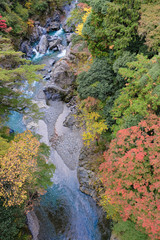 鳩ノ巣渓谷の紅葉と流れる河川
