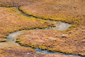 creek bend in a alpine moor at Val Fex