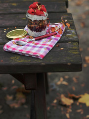 Jogurt z granolą płatkami owsianymi malinami na zewnątrz jesienią
