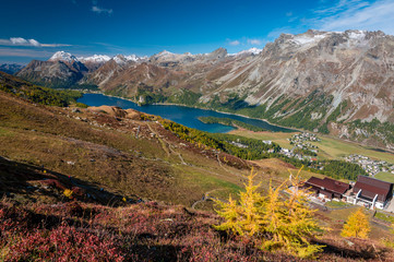 view of Lake Sils from Furtschellas in Engadin in Autumn