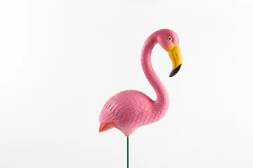 Wandaufkleber rosa Flamingo auf rosa Hintergrund © Loulou02