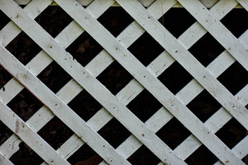 Terrance texture background black an white