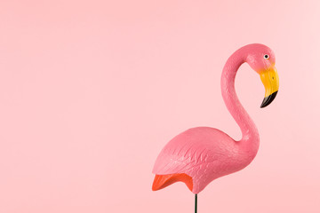 pink flamingo on a pink background - obrazy, fototapety, plakaty