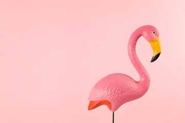 Wandaufkleber rosa Flamingo auf rosa Hintergrund © Loulou02