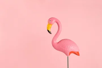 Fotobehang roze flamingo op een roze achtergrond © Loulou02