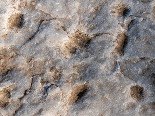 Pebbles stone texture and background. Abstract background made with stones.
