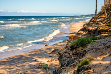 Baltic Sea in Poland with pines and dunes