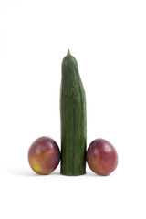 penis cucumber