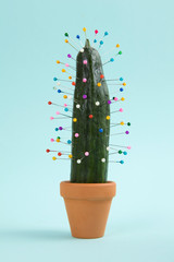 cactus voodoo