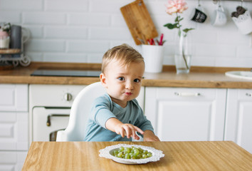 Charming little baby boy eating first food green grape at bright kitchen at home