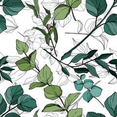 Vector Eucalyptus tree leaves jungle botanical. Black and white engraved ink art. Seamless background pattern.