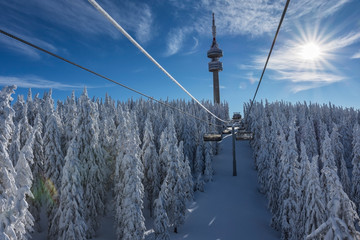 Sunny morning in the Rhodope Mountains, ski resort Pamporovo. Chair ski lift over pine trees....