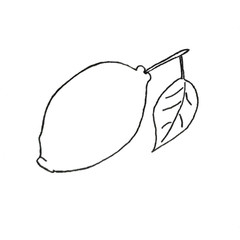 line art lemon mandarin illustration