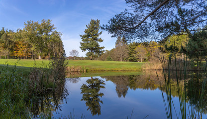 Fototapeta na wymiar pond on the greens of a golf course 