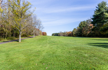 Plakat green grass golf course in fall with autumn leaves and trees