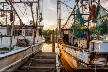 Boats in bay