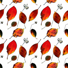 Obraz premium Seamless pattern with autumn leaves on white background Hand draw illustration.