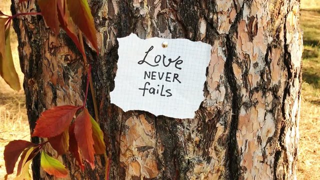 Love never fails - card with biblical quote, christian lettering on paper on nature