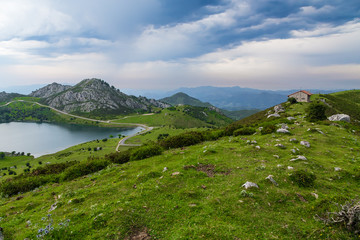 Fototapeta na wymiar Covadonga, Spain. Picturesque lake Enol in the mountains