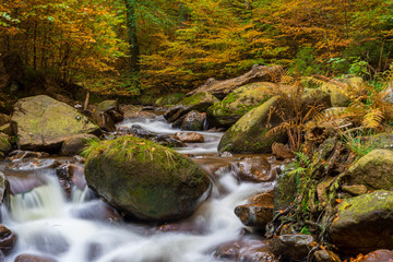 A waterfall in the mountains with autumn colored trees as a long exposure - 296350077