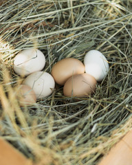 Straw nest filled with white and brown eggs