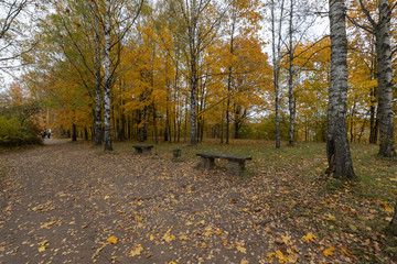 Stone benches in Izborsk