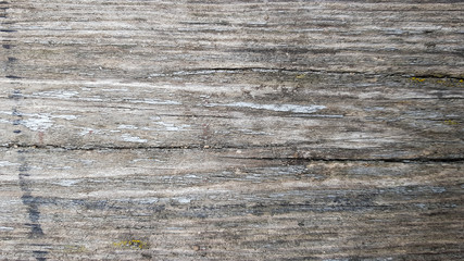Wood texture White wood texture with natural patterns background. Wood flooring, old background surface from natural trees.