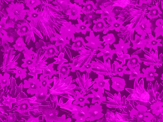 Fototapeta na wymiar purple floral pattern on a black background