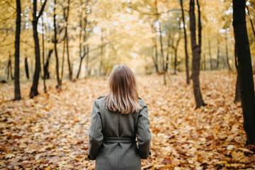woman goes into the distance along the autumn alley of the park. a girl in a gray coat is walking on fallen leaves.