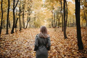 A woman goes into the distance along the autumn alley of the park. a girl in a gray coat is walking on fallen leaves.