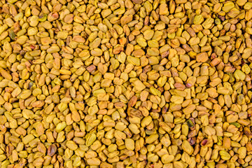 Background of the fenugreek seeds (methi dana, helba or shambala)