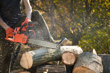 Chainsaw that stands on a heap of firewood in the yard on a beautiful background of green grass and forest. Cutting wood with a motor tester
