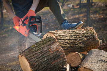 Chainsaw that stands on a heap of firewood in the yard on a beautiful background of green grass and...
