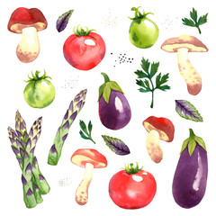 Watercolor vector vegetables set with wild mushrooms, red and green tomatoes, asparagus, eggplant, parsley and basil