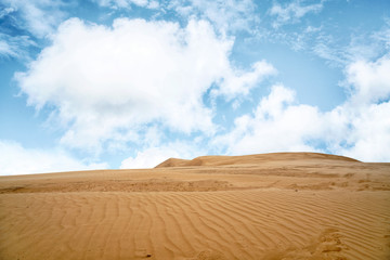 Fototapeta na wymiar Desert with sand ripples under a blue sky