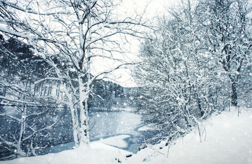 Winter landscape of frozen trees and snowfall.