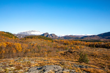 Obraz premium On a walk in beautiful autumn, Northern Norwegian nature is colored