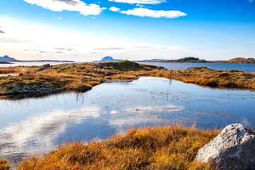 Fototapeta na wymiar On a walk in beautiful autumn, Northern Norwegian nature is colored