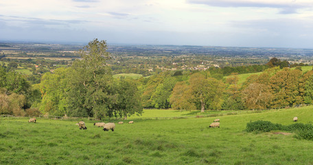 An English Rural Landscape
