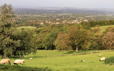 An English Rural Landscape
