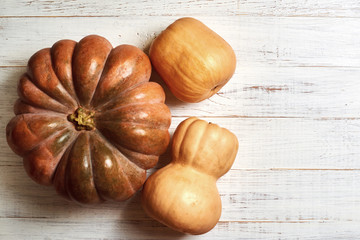 Whole fresh pumpkins of different shapes on a light wooden background.