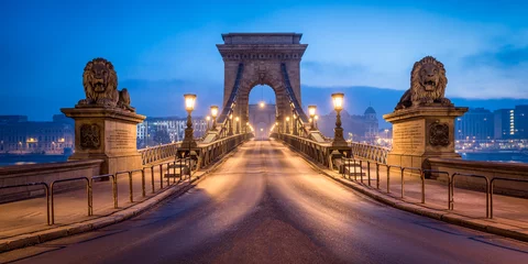 Poster Historische Kettingbrug in Boedapest in de winter © eyetronic