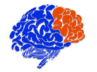 The concept of intelligent human thought and the human brain in blue and orange on a white background (illustration)