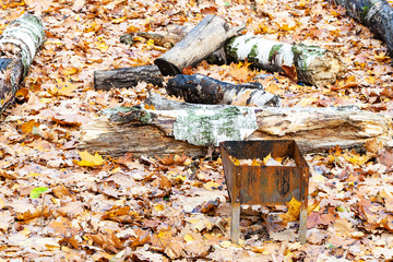 forgotten grill on meadow covered by fallen leaves