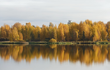 Fototapeta na wymiar An autumnal landscape with yellow birch trees and calm lake surface. A roof top of a building over the tree tops
