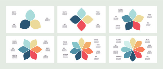 Business infographics. Flower pie charts with 3, 4, 5, 6, 7, 8 parts, options. Vector templates.
