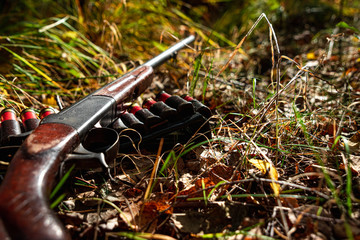 Hunting rifle and cartridges in the autumn forest close-up. The hunting period, the fall season is...