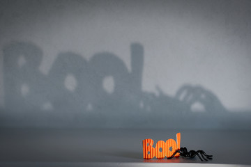 Scary spider will be happy to join your halloween party. Shadows add the dramatic effect to the...
