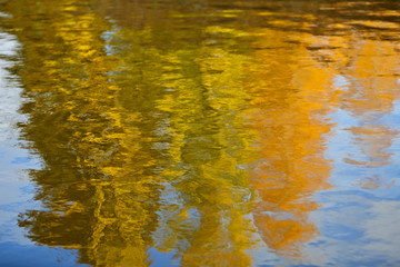 Autumnal trees reflecting on a water on a bright sunny day